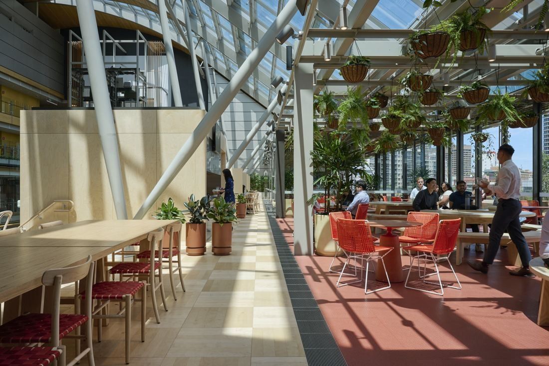 Commonwealth Bank of Australia: Sunlit glazed gallery with long timber benches on one side and red chairs and hanging plants on the other