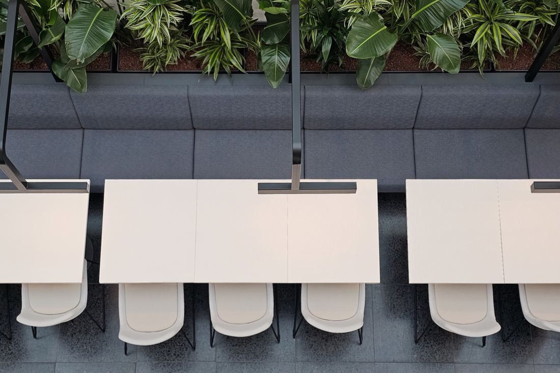 Continental: Long white tables and chairs seen from above, with a planter of greenery overhead