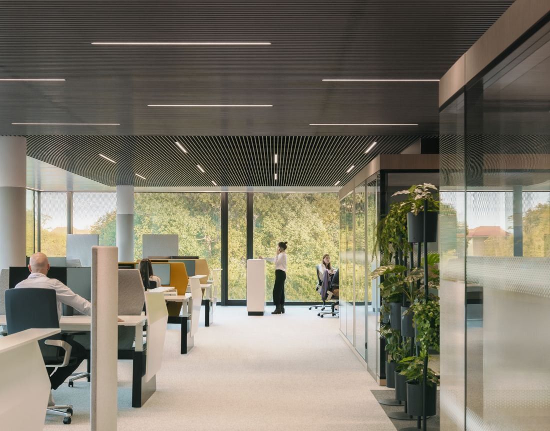 Continental: Open-plan office with desks, glass partitions and plants in front of a window facing trees