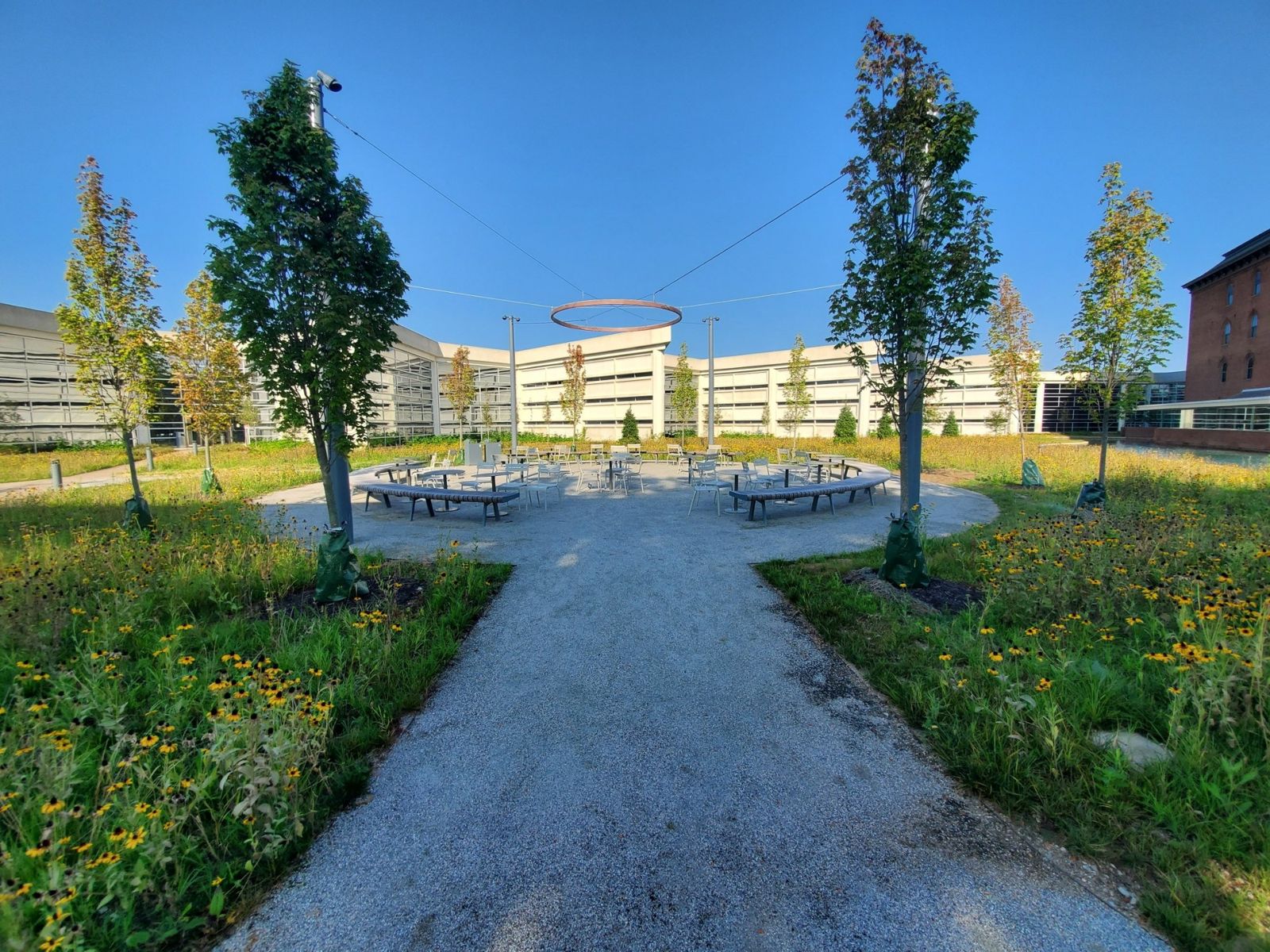 Cummins: Gravel path through a meadow garden toward a circle of benches