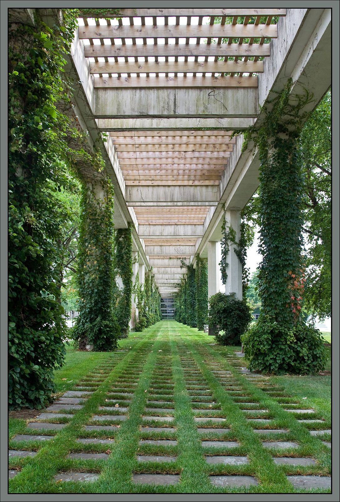 Cummins: Ivy-covered trellis columns over a path