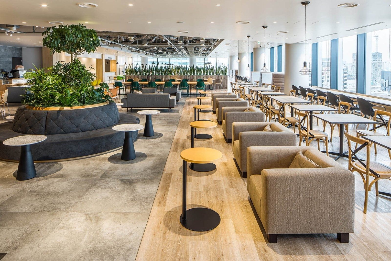 Lounge with sofas, small round tables and a large planter by the windows