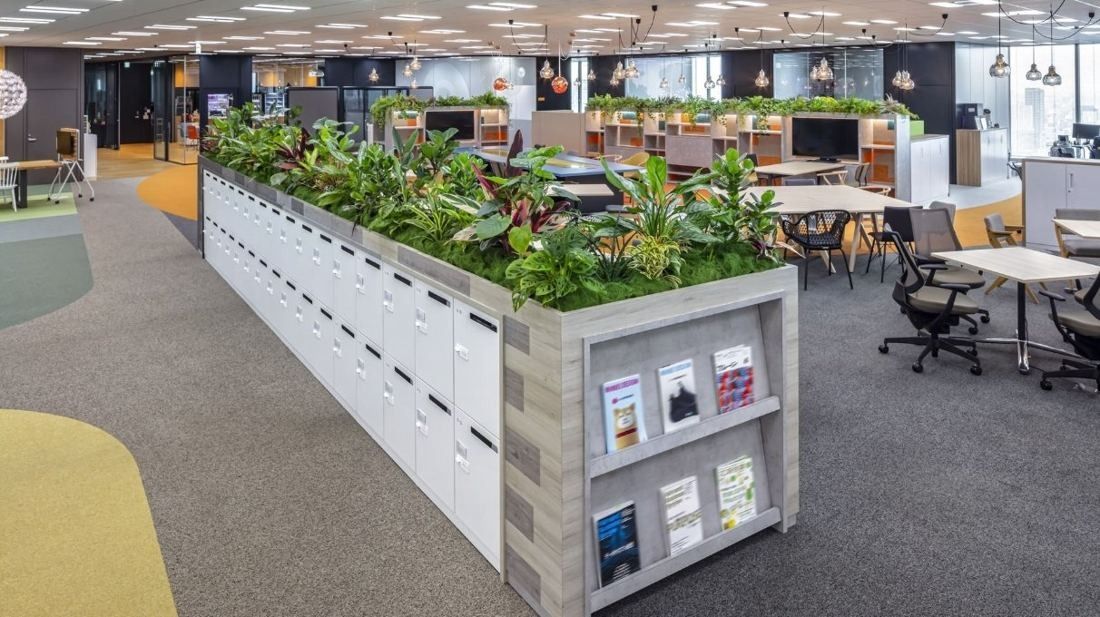 Cybozu: Low lockers topped with planters and magazine racks in an open office
