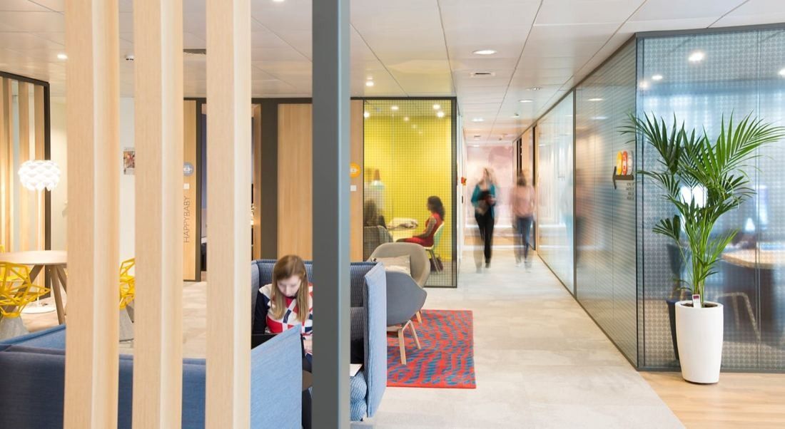 Danone: Open office with timber slat partitions, glass meeting rooms and a potted palm