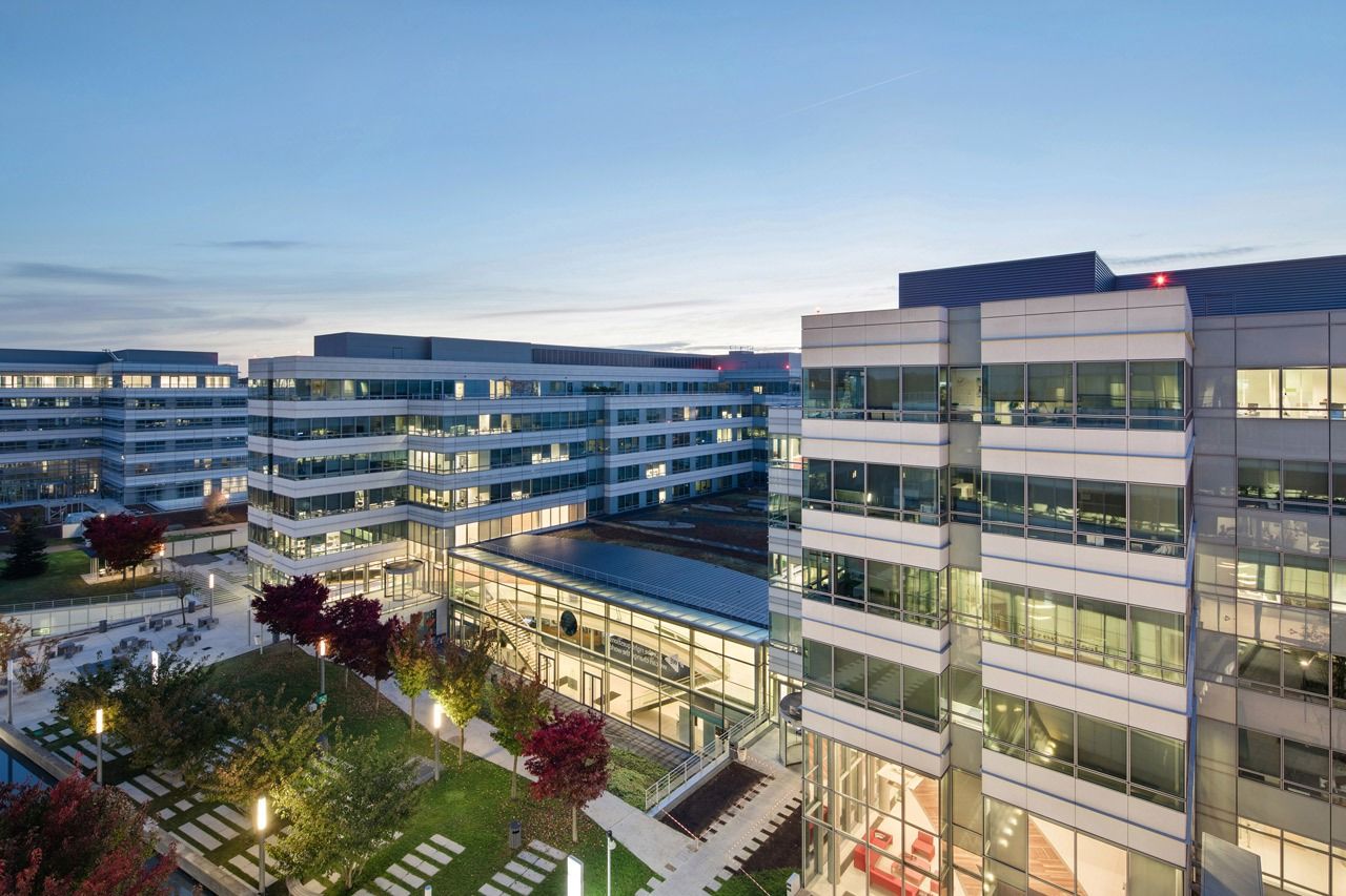 Office buildings around planted courtyards at dusk