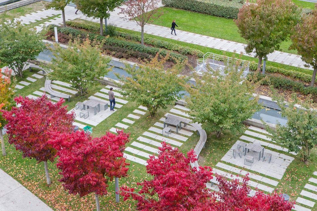 Dassault Systèmes: Red maples and paths seen from above