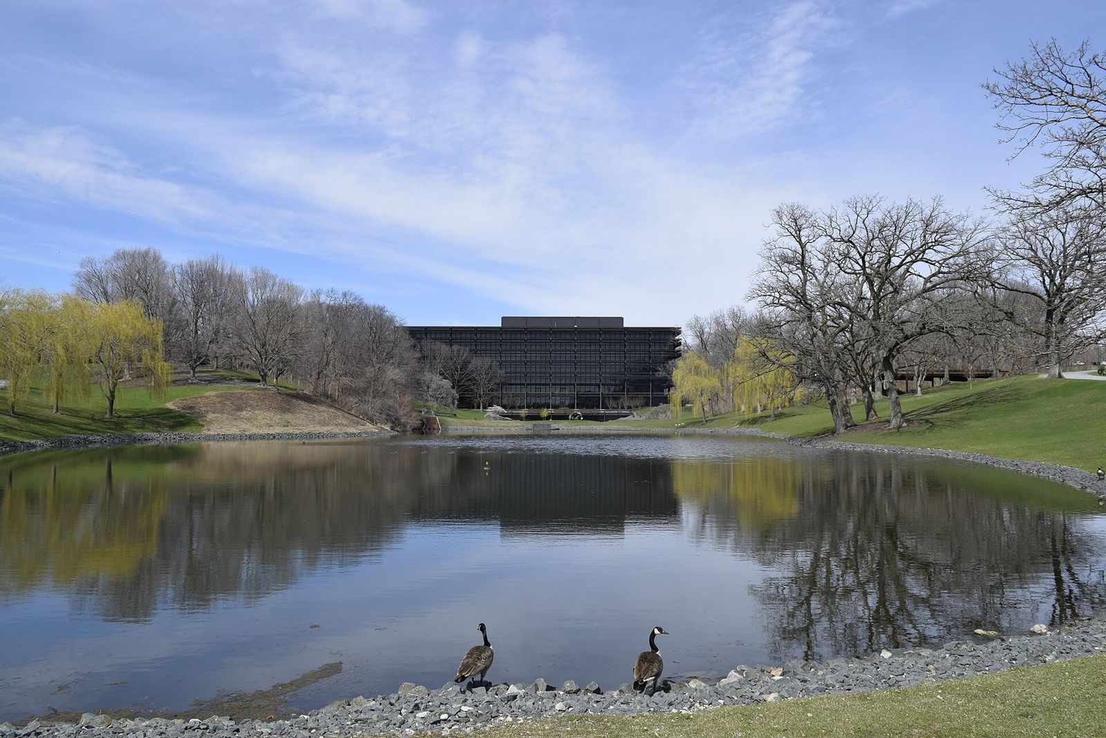 Dark steel building low on the horizon across a pond with willows