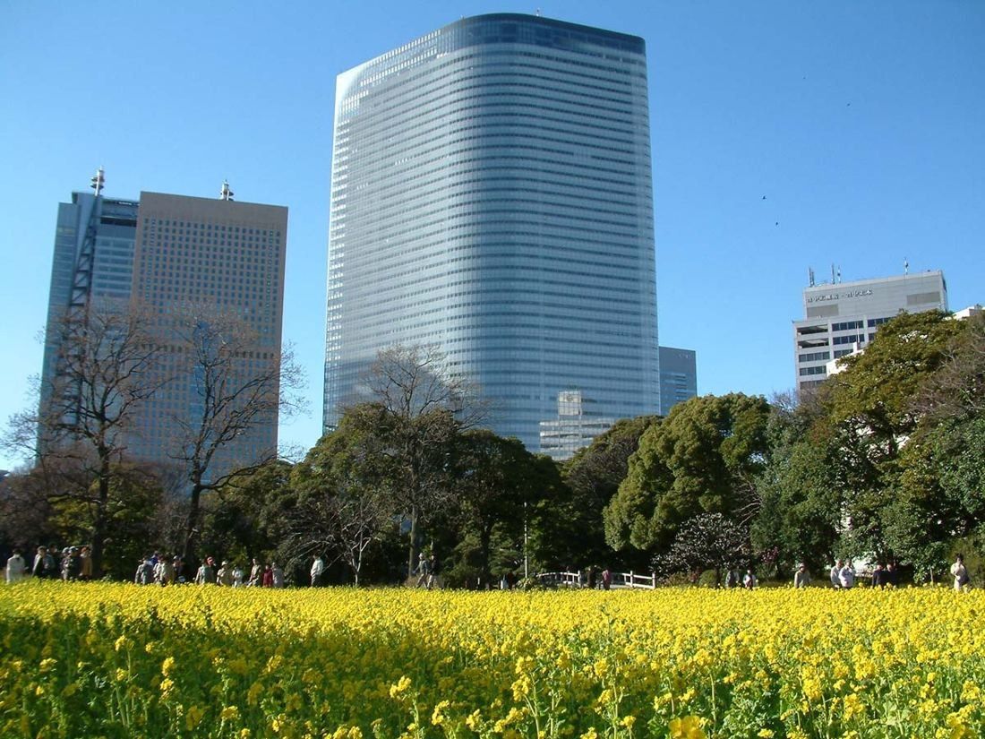 Dentsu: Glass tower behind trees and a field of yellow flowers