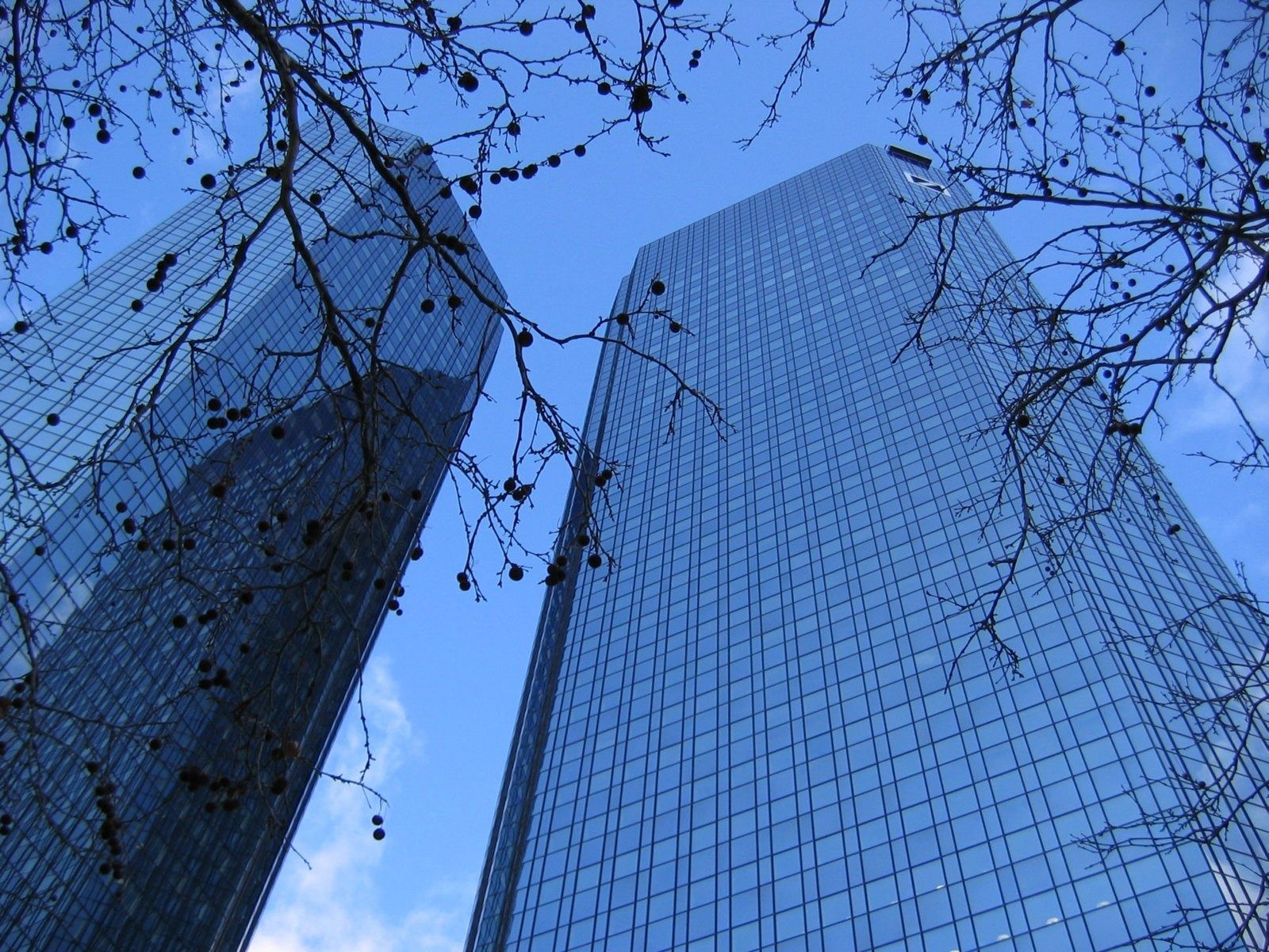 Deutsche Bank: Two glass towers seen from below through bare tree branches against blue sky