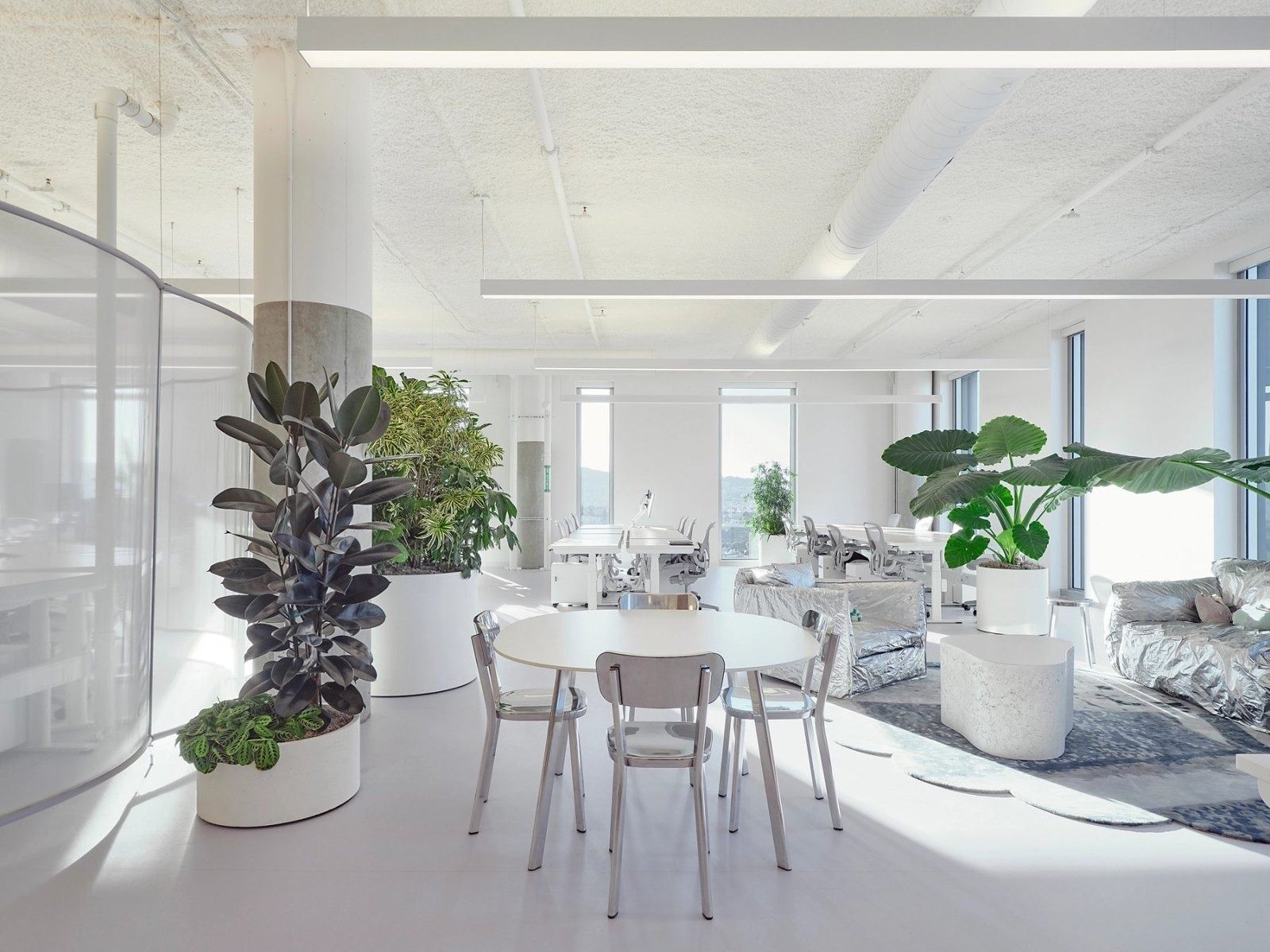 Dropbox: A bright table area with large plants