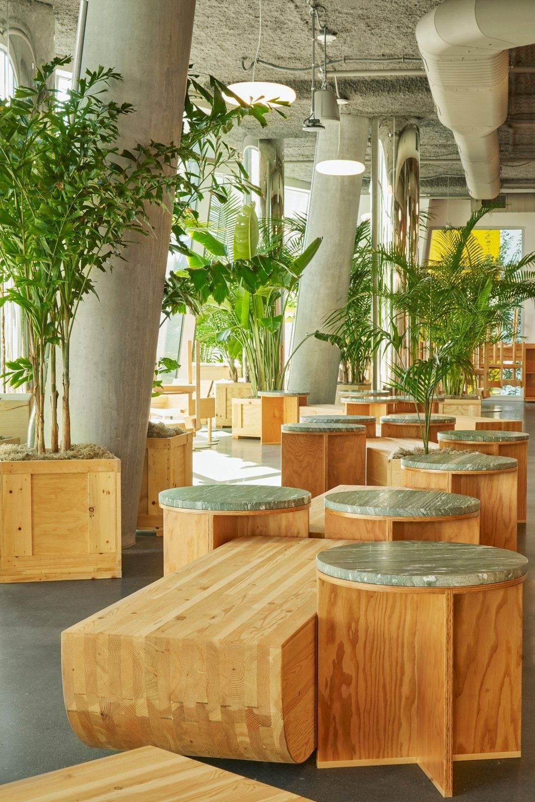 Dropbox: Wooden benches among potted trees