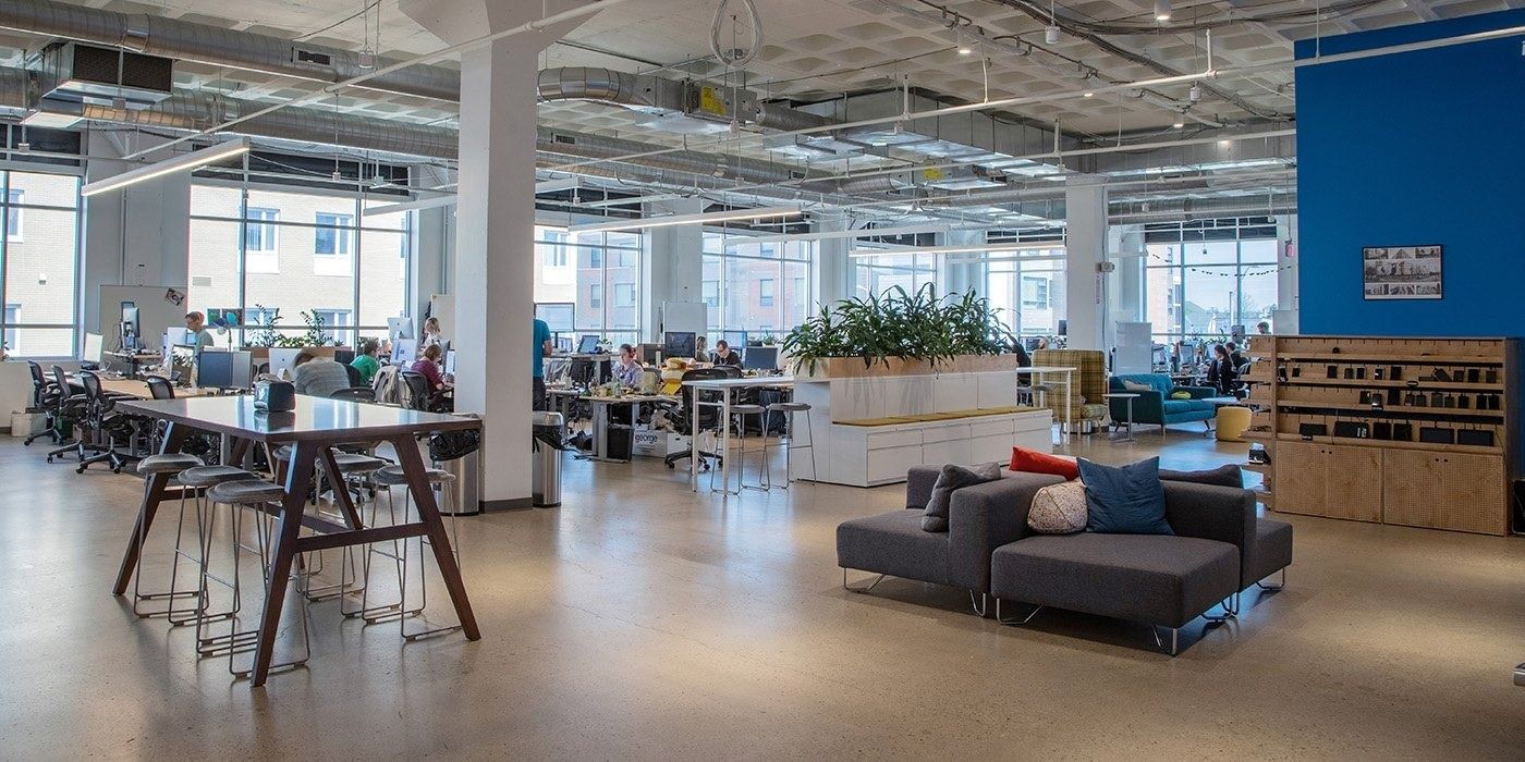 Duolingo: Open office with long desks, a planter wall, gray sofas and a blue accent wall