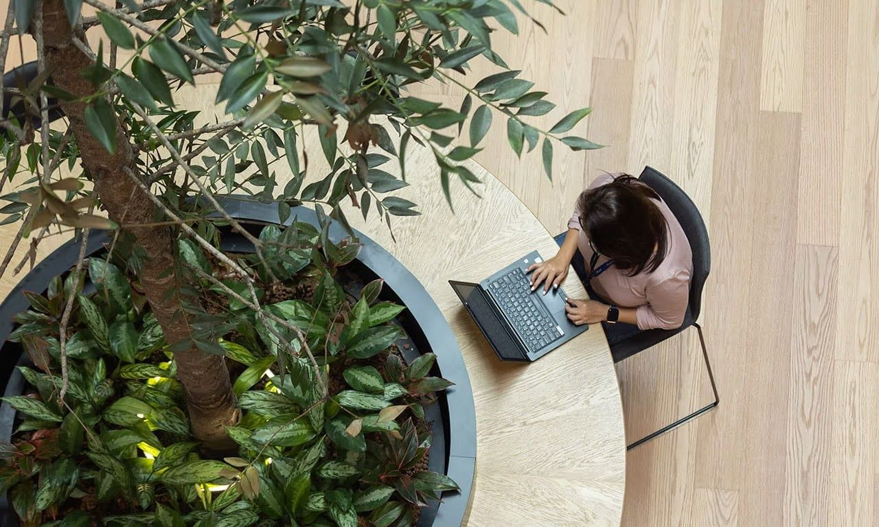 Dyson: Overhead view of a person working on a laptop at a curved table around a tree planter