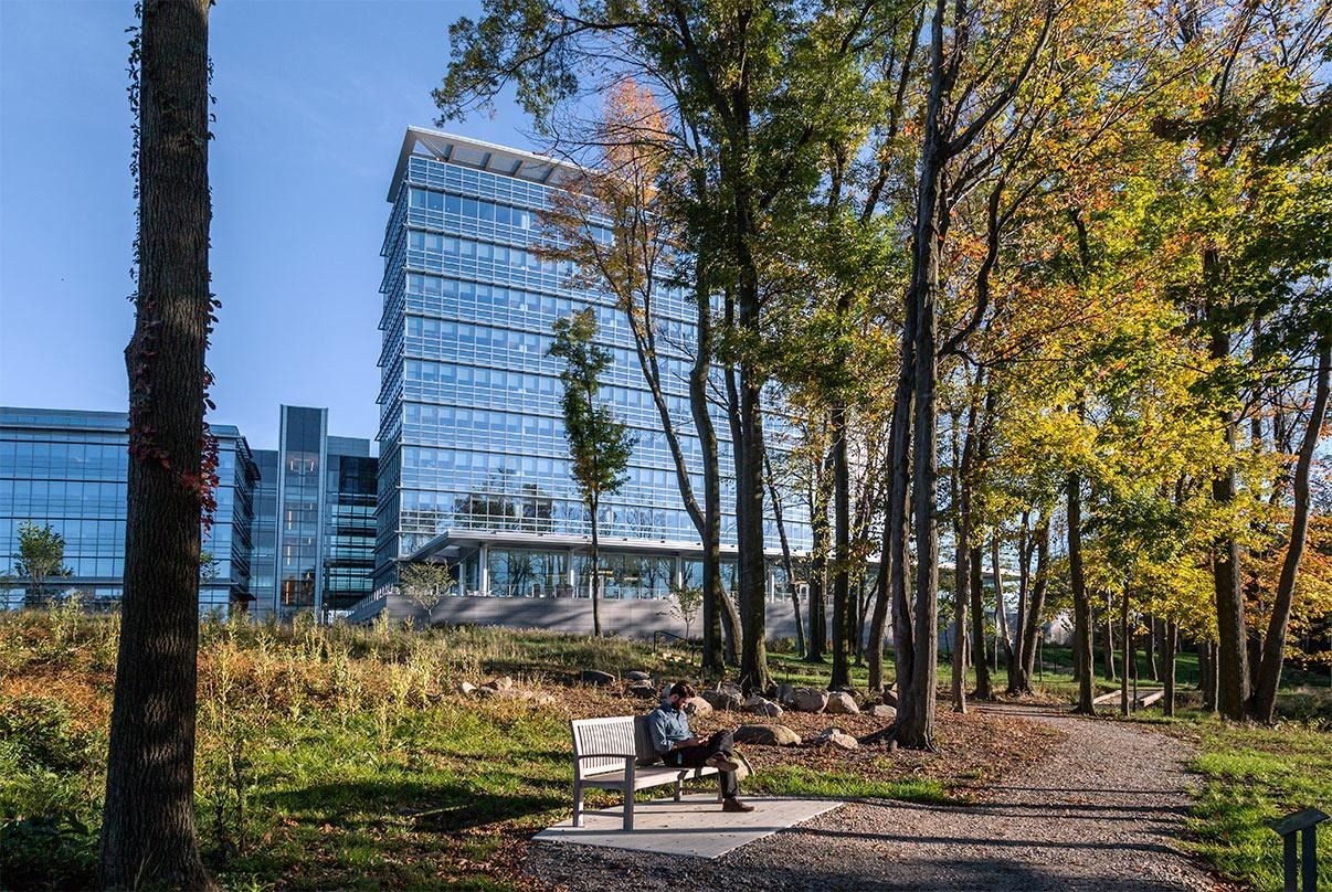 Eaton: A bench on a wooded trail with the glass tower behind the trees