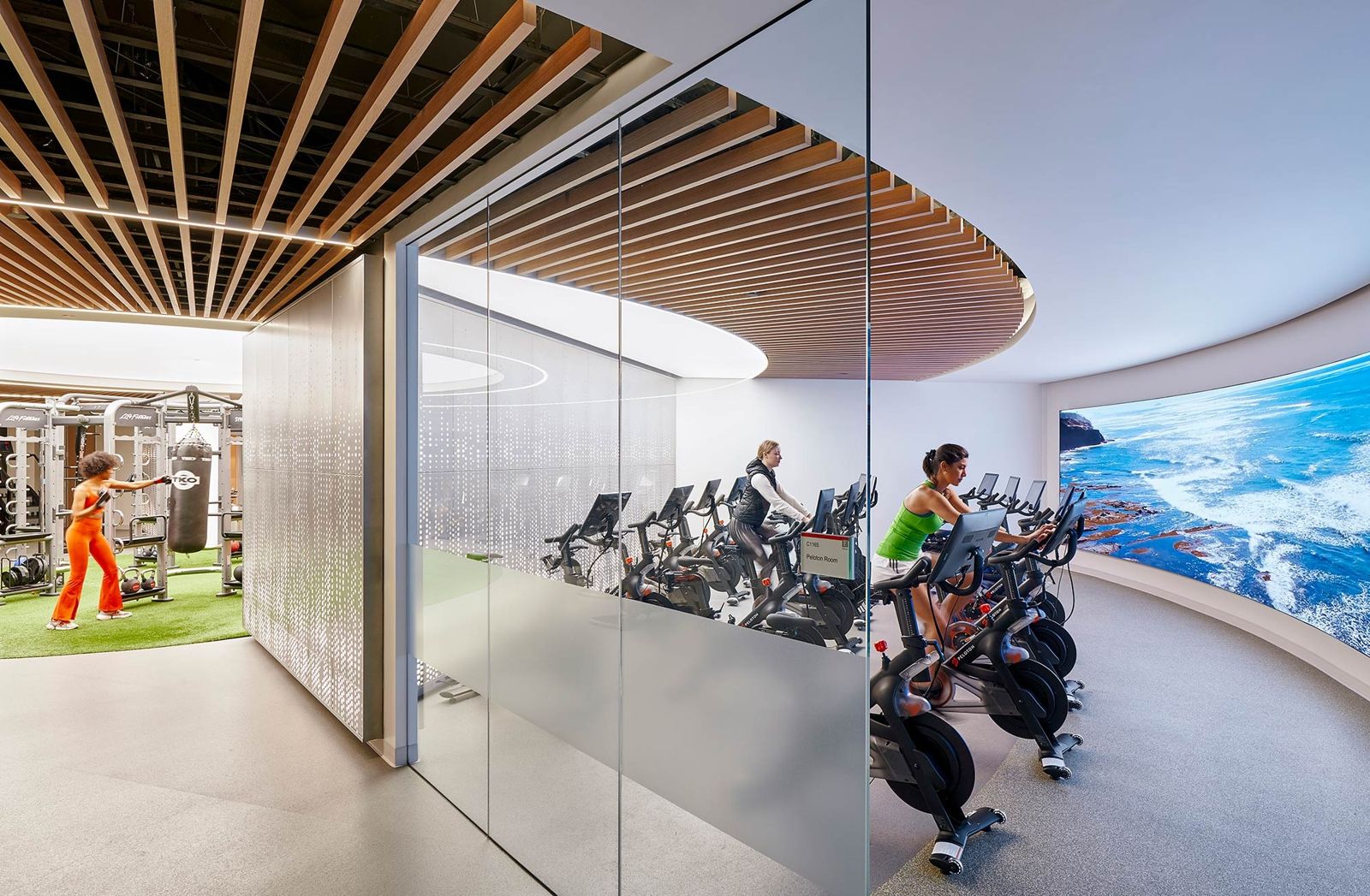 Edwards Lifesciences: Exercise bikes behind a glass wall facing a large curved screen of ocean and sky