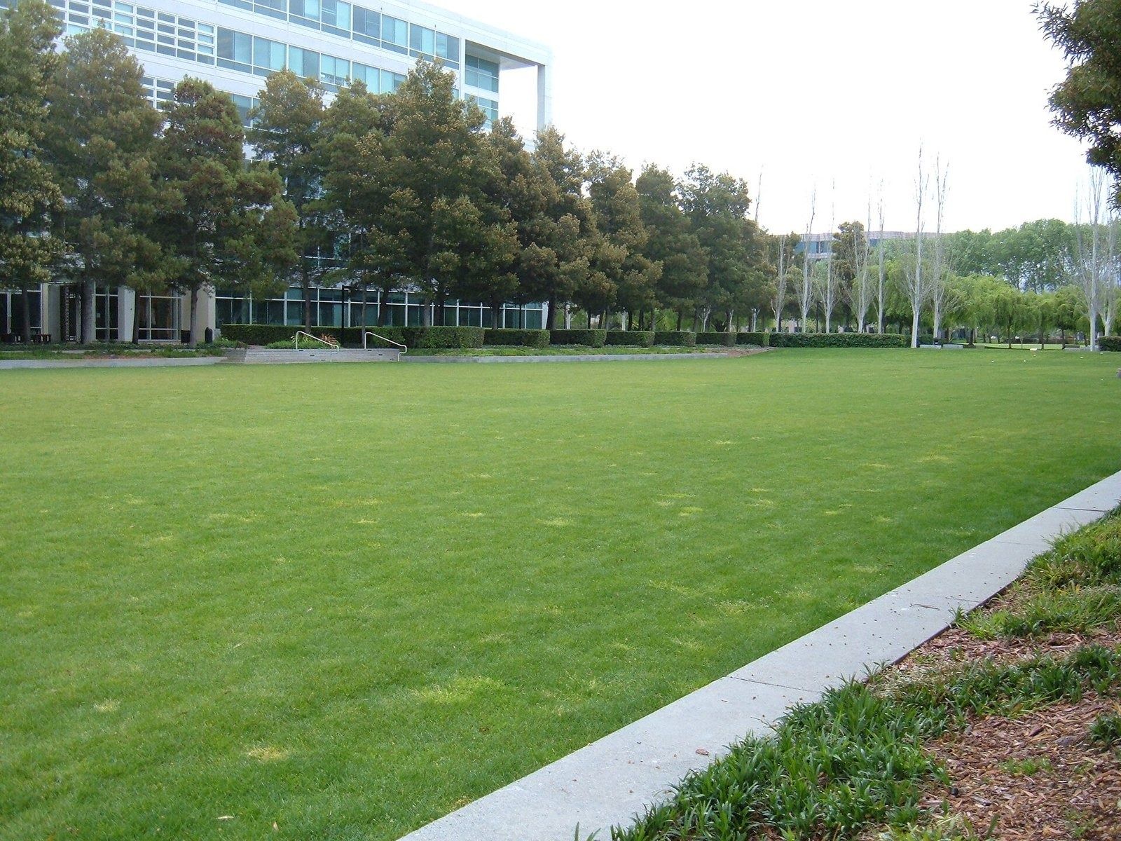 Electronic Arts: Large lawn sports field between campus buildings