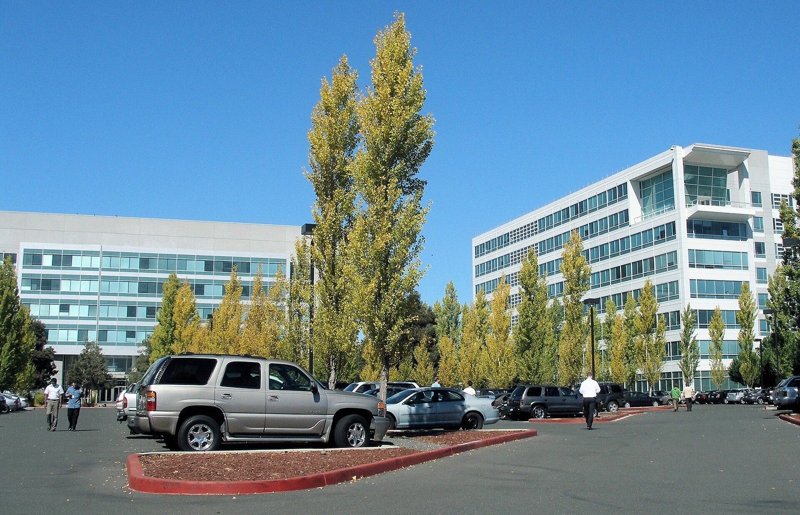 Electronic Arts: Office buildings and trees around the EA car park