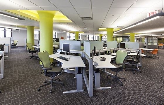 Eli Lilly and Company: An open workspace with sit-stand desks and green columns