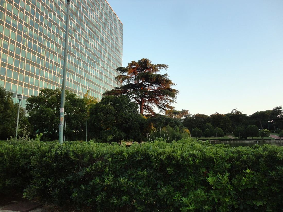 Eni: The lower floors of a glass tower beside trees and hedges at the lake