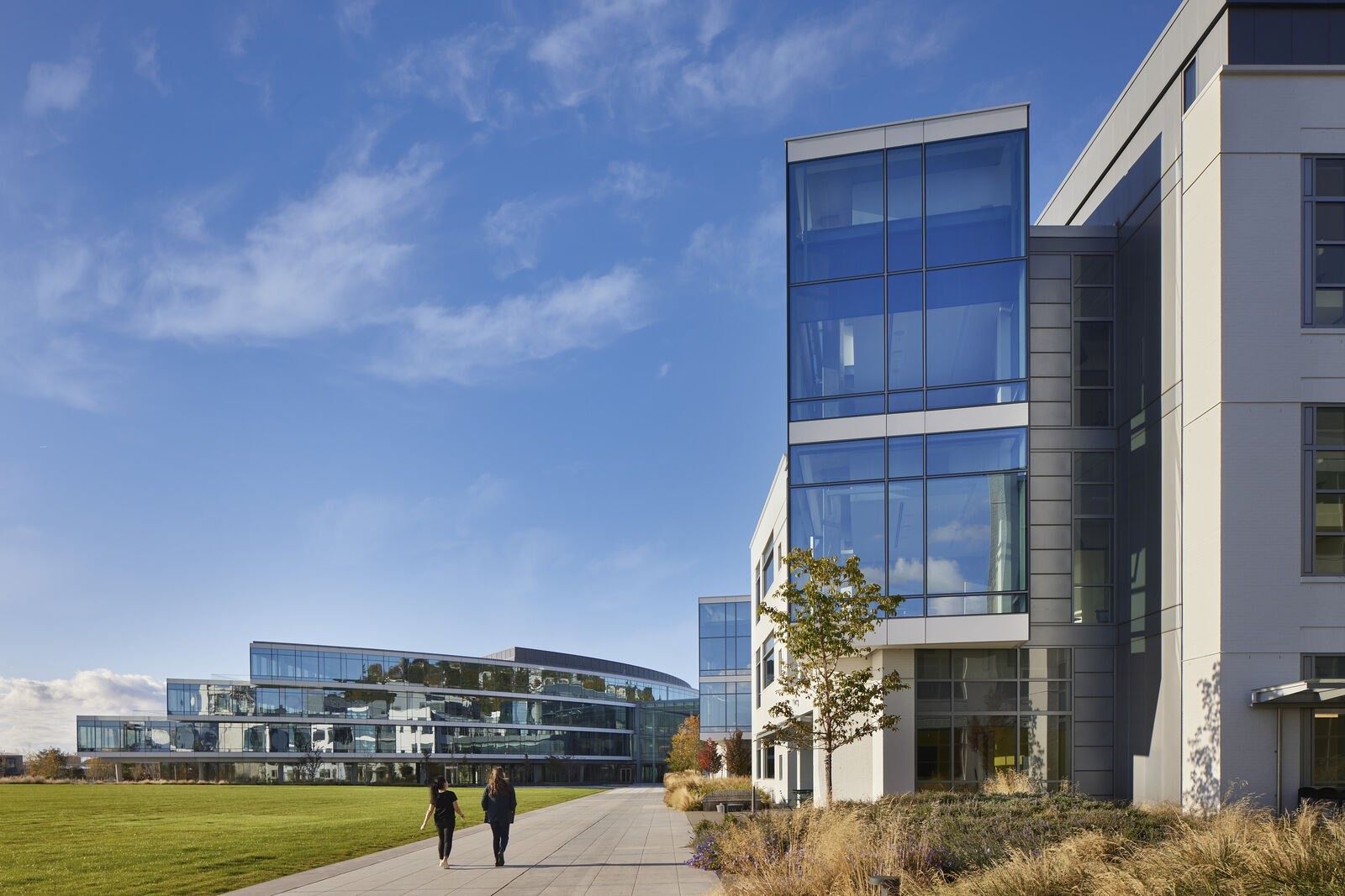 Expedia Group: Lawn path between the new building and a renovated lab