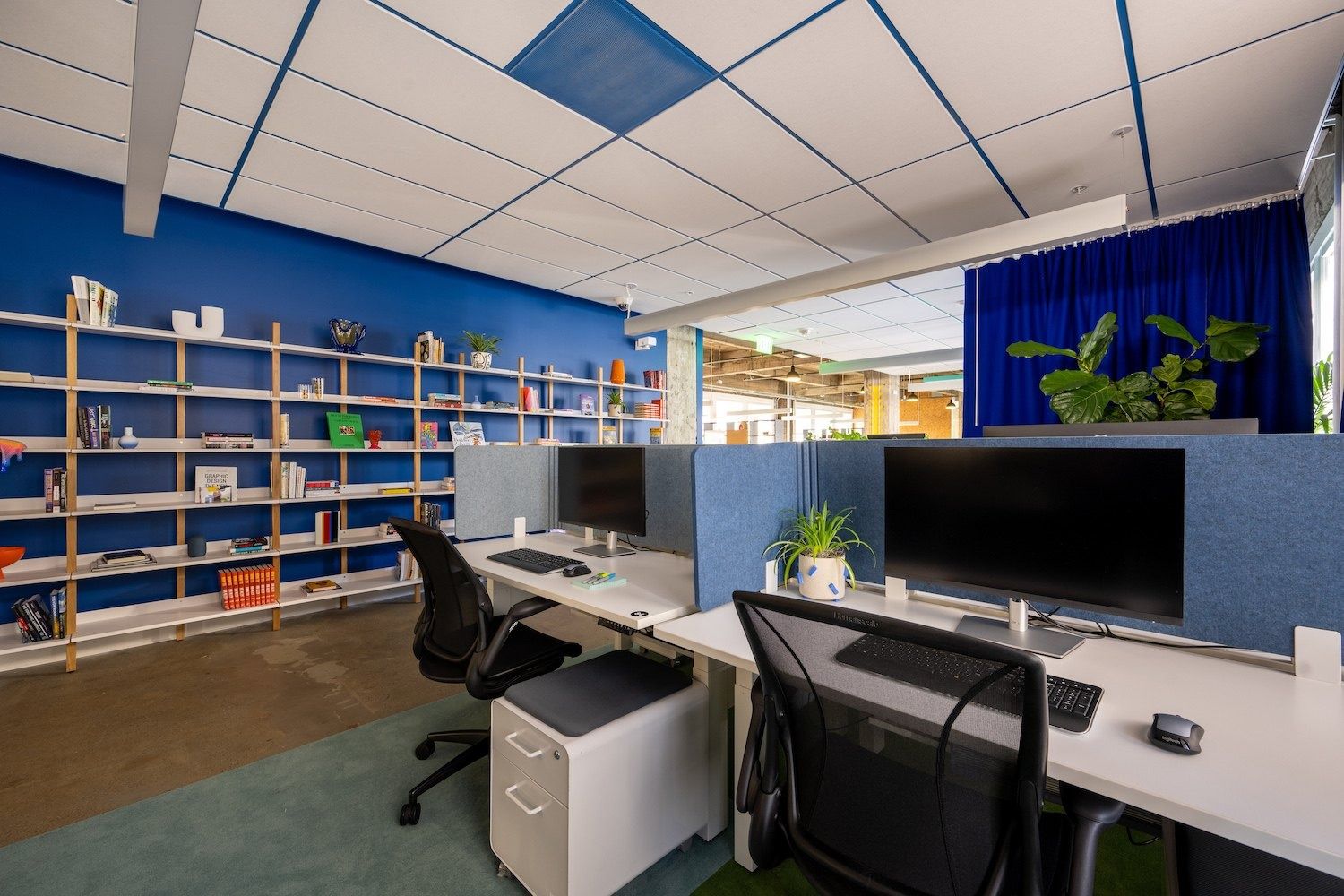 Figma: Desks with monitors and office chairs in front of a blue wall lined with open wooden shelves