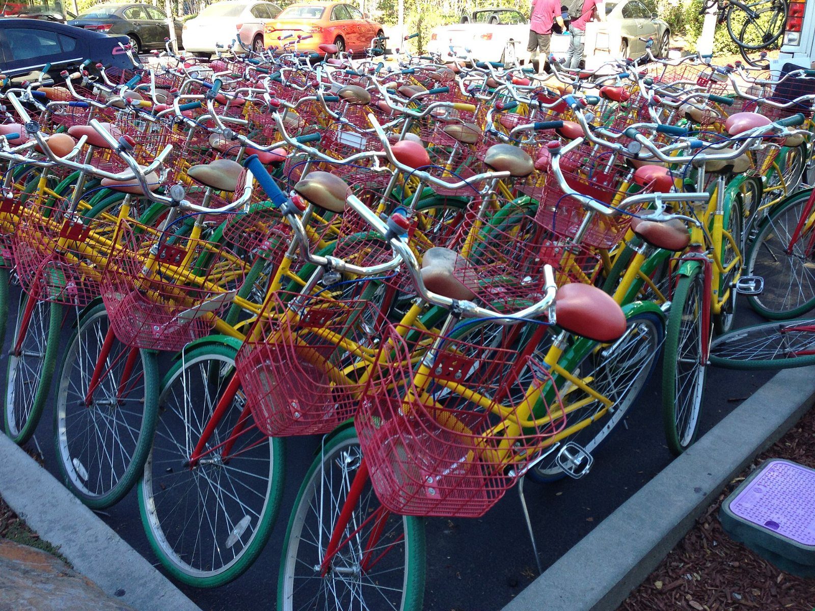 Google: Rows of colourful bicycles