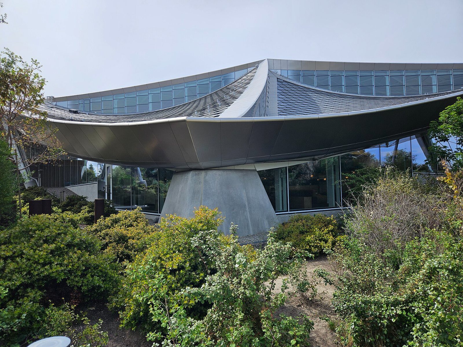 Google: Curved canopy edge above greenery