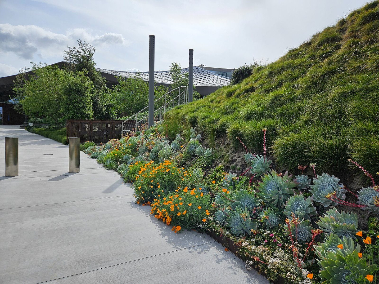 Google: Path beside a planted slope