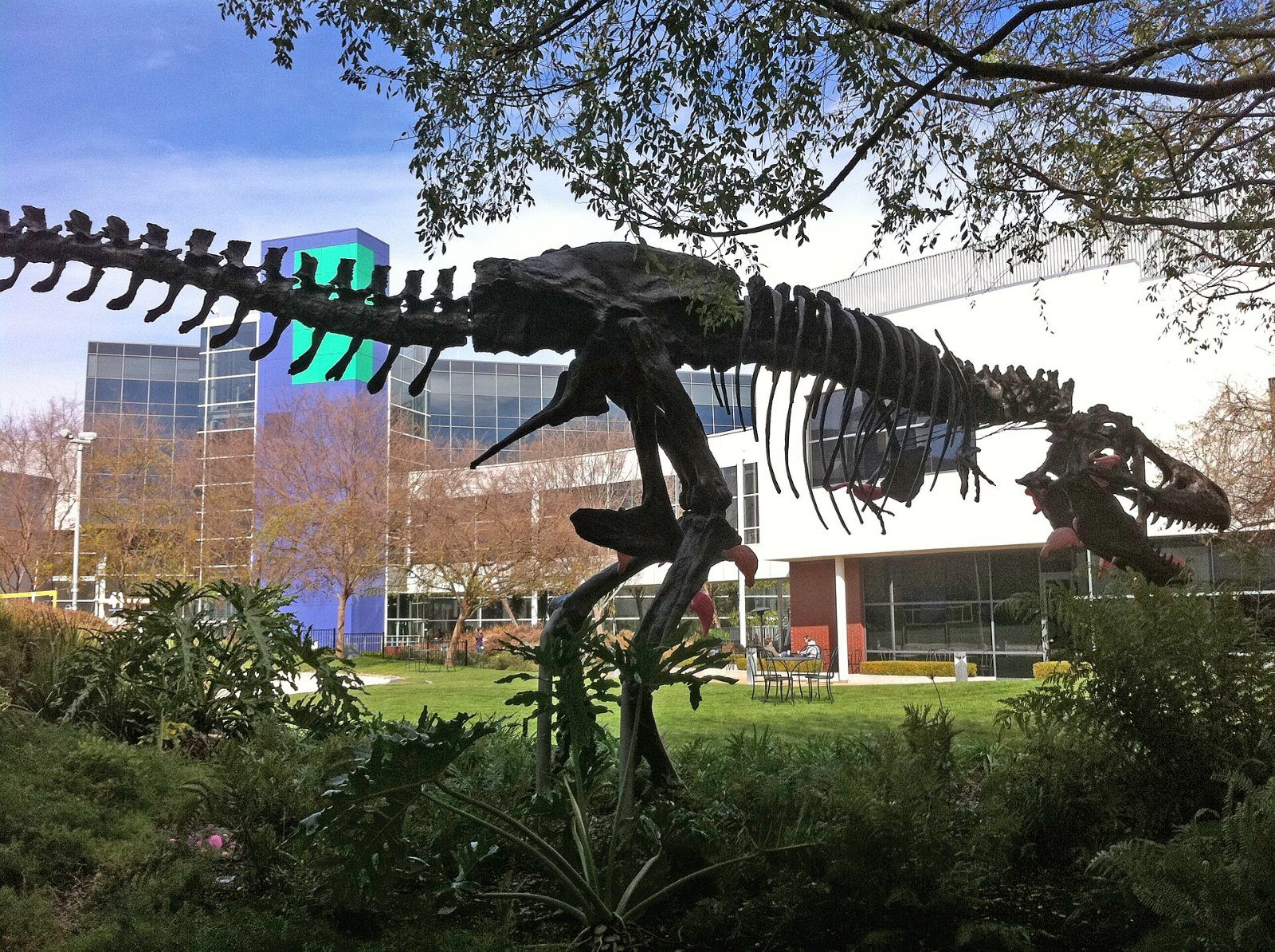 Google: Dinosaur skeleton replica on a lawn