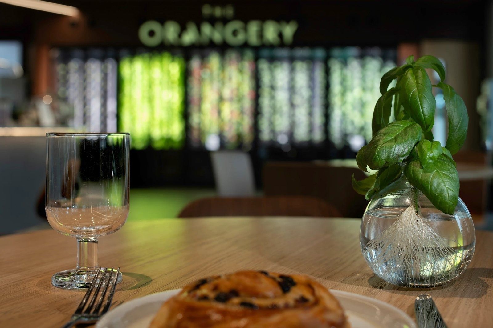 GSK: Café table with a plant in front of the Orangery sign