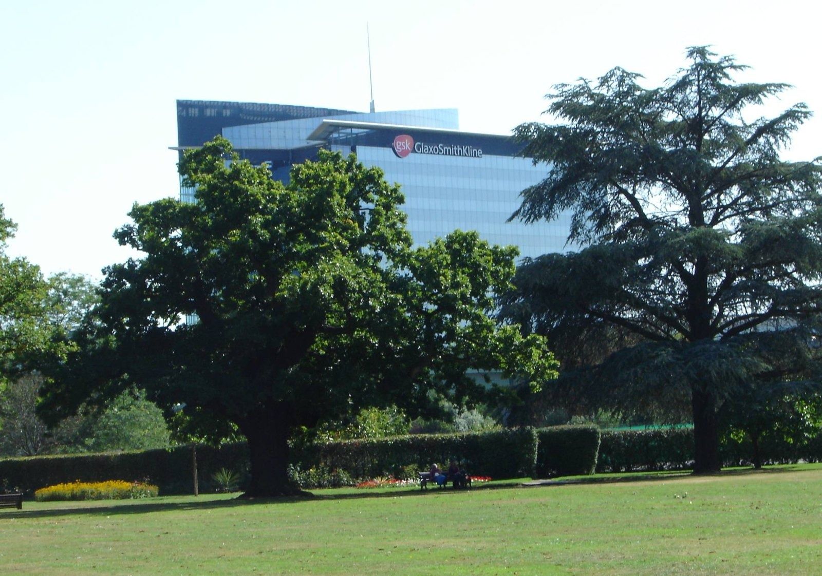 GSK: Glass tower behind trees in a park
