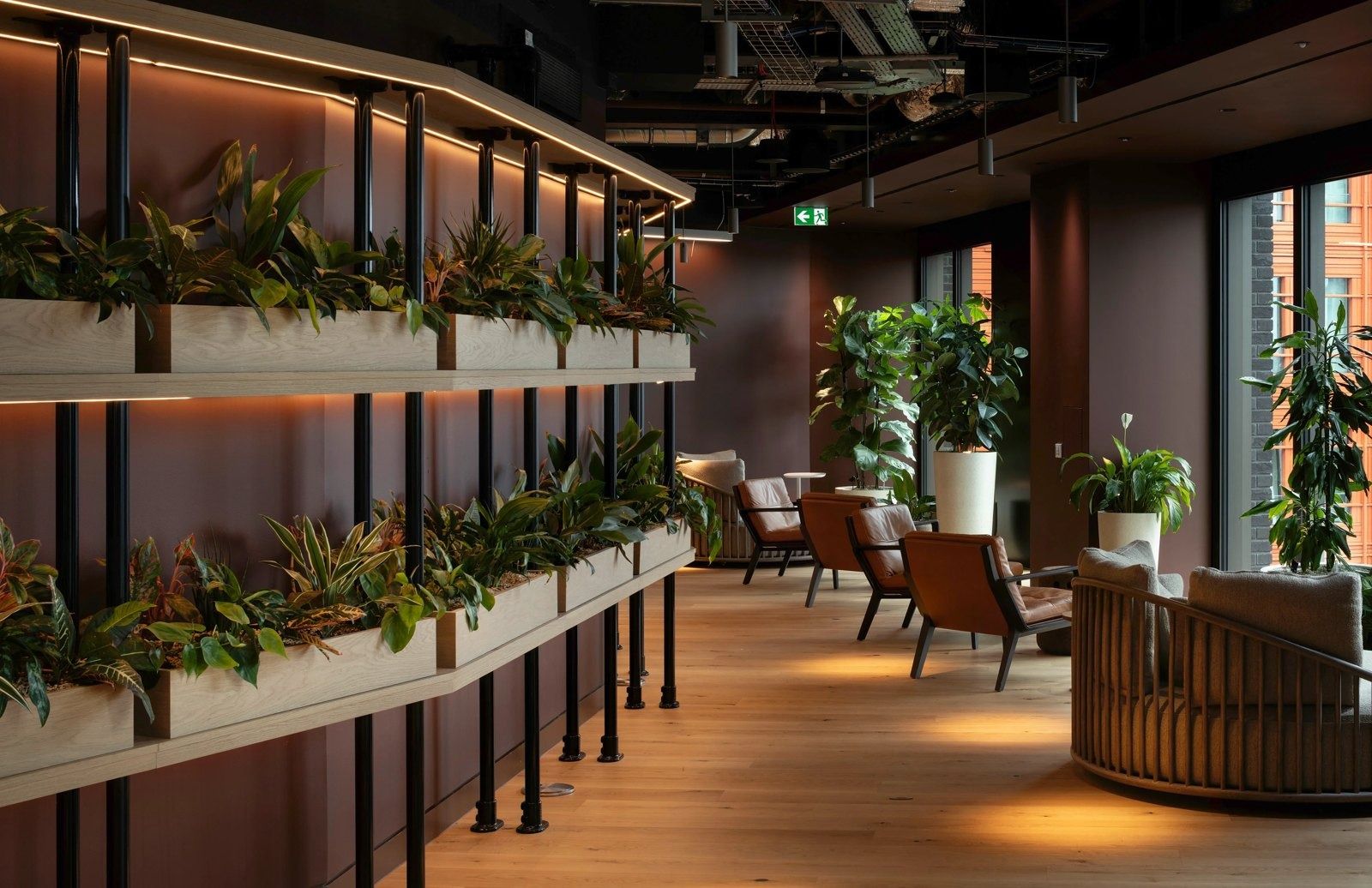 GSK: Lounge with plant shelves and warm lighting