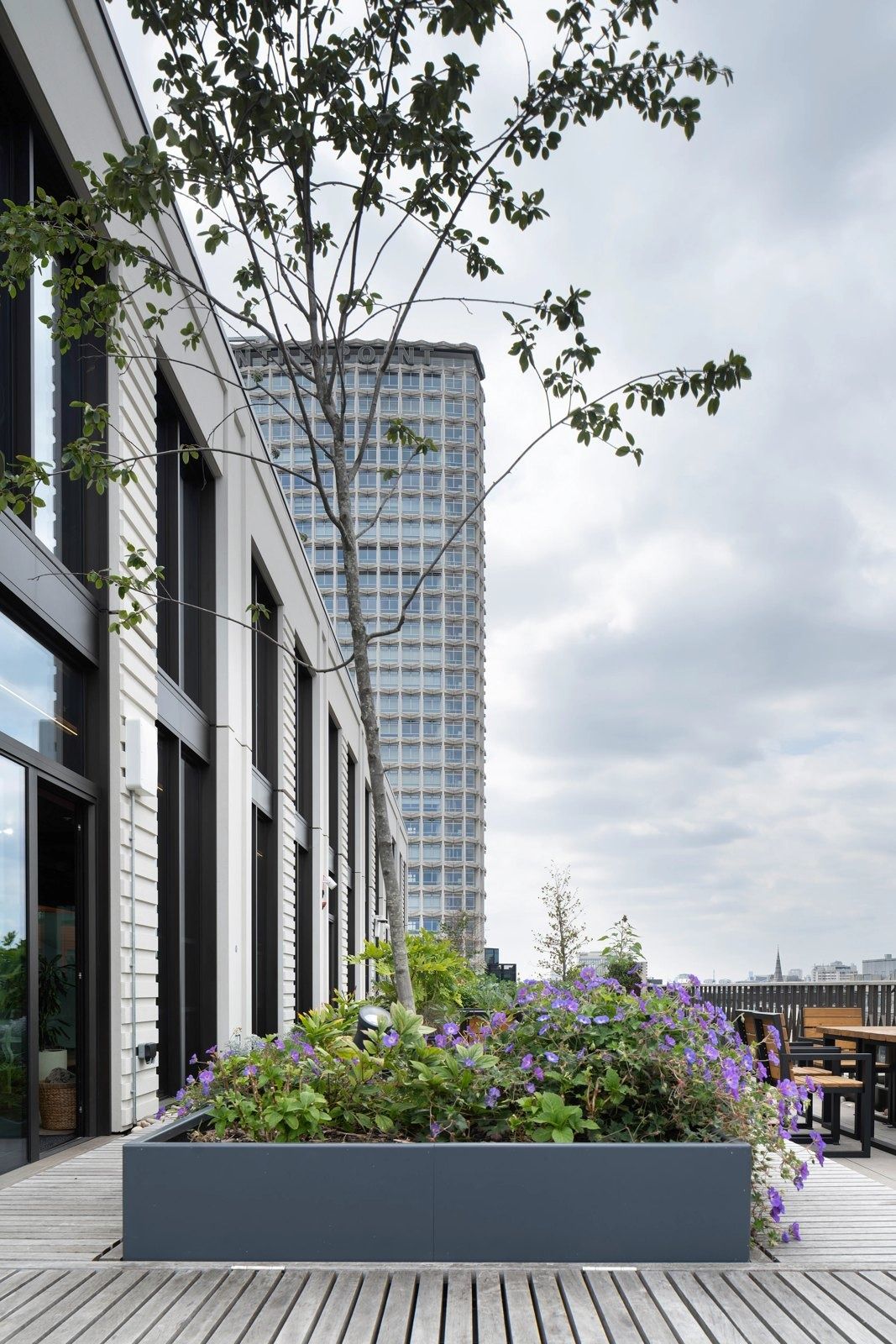 Planted roof terrace beside a stone office building