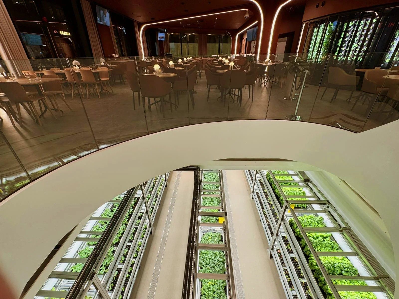 GSK: View down from a curved balcony to the indoor farm