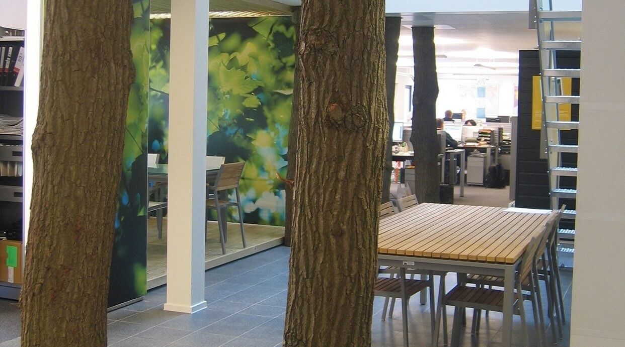 Heineken: Office area with tree-trunk columns, a forest-printed wall and a wooden table
