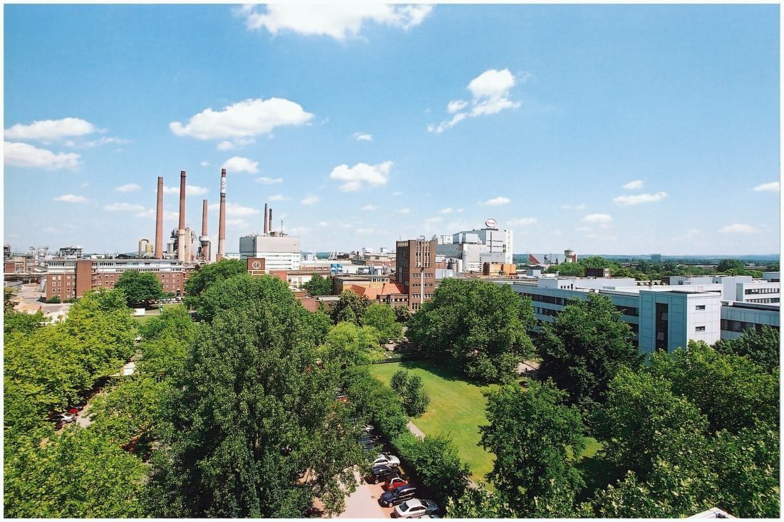 Henkel: Treetops in front of office buildings and factory chimneys