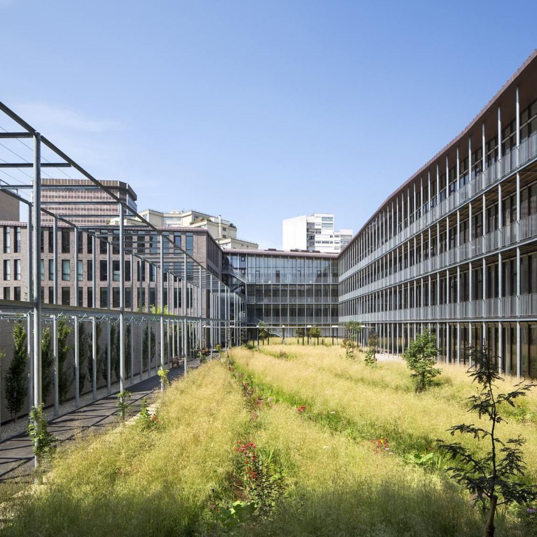 Hermès: Courtyard garden of grasses and young trees between two long buildings