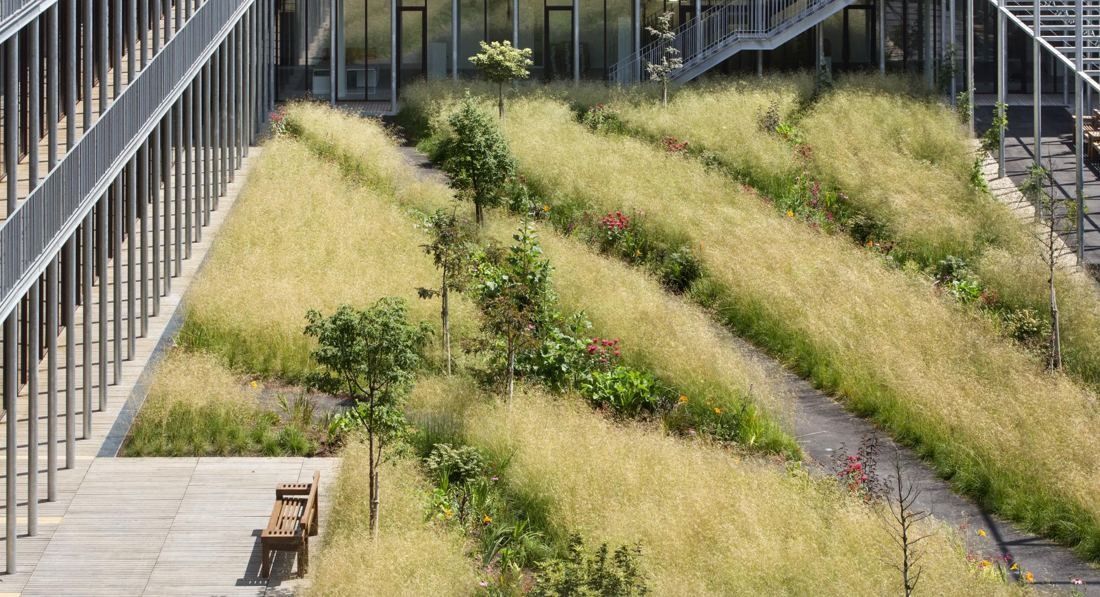 Hermès: Raised garden of grasses and small trees with a wooden walkway
