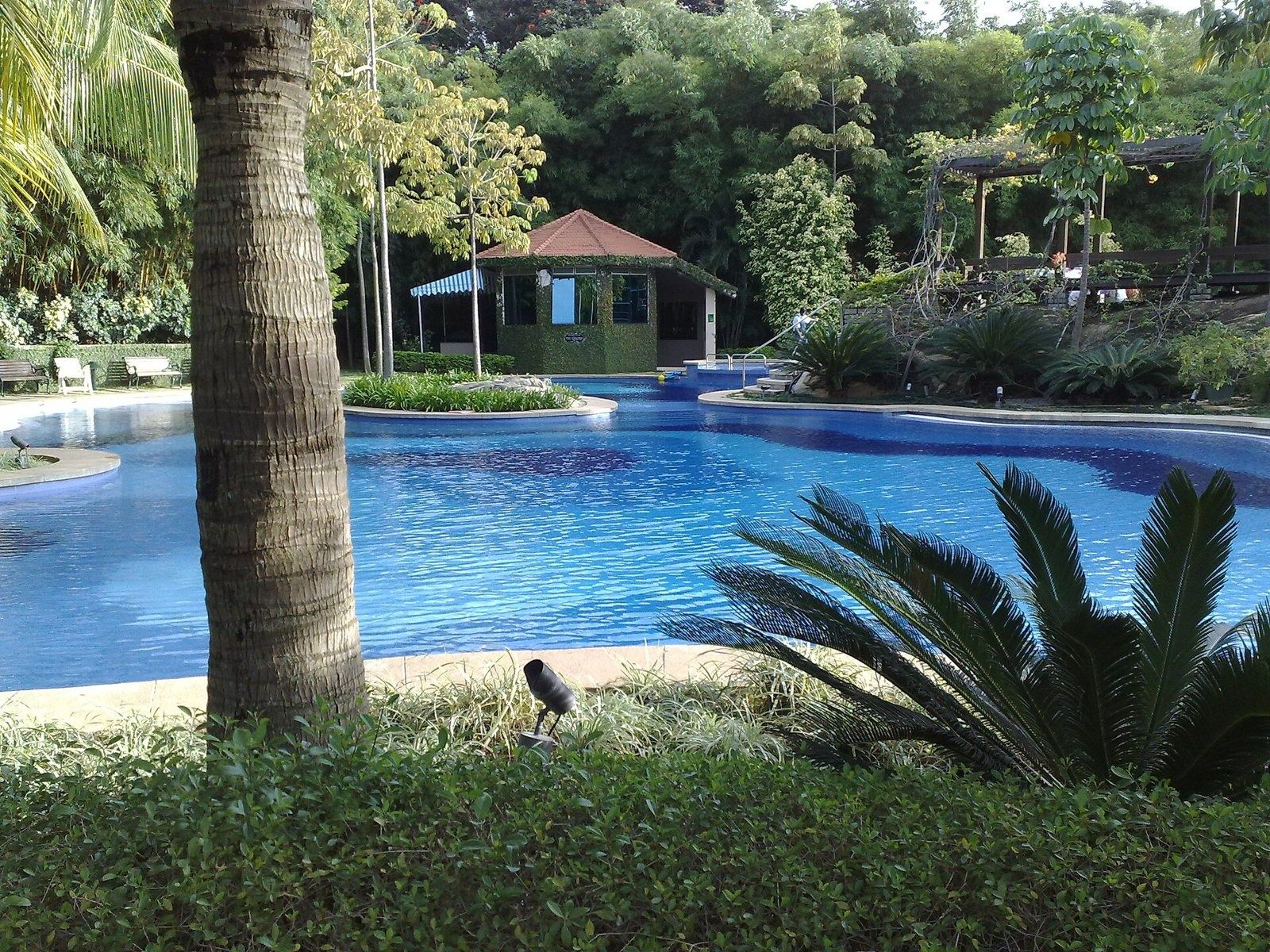 Infosys: Swimming pool framed by a palm trunk and a gazebo in the background