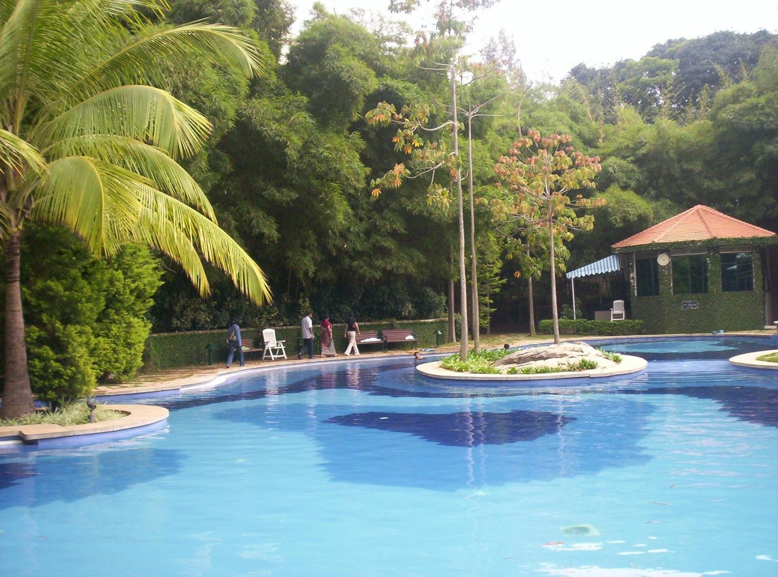 Infosys: Swimming pool with a planted island and trees around it