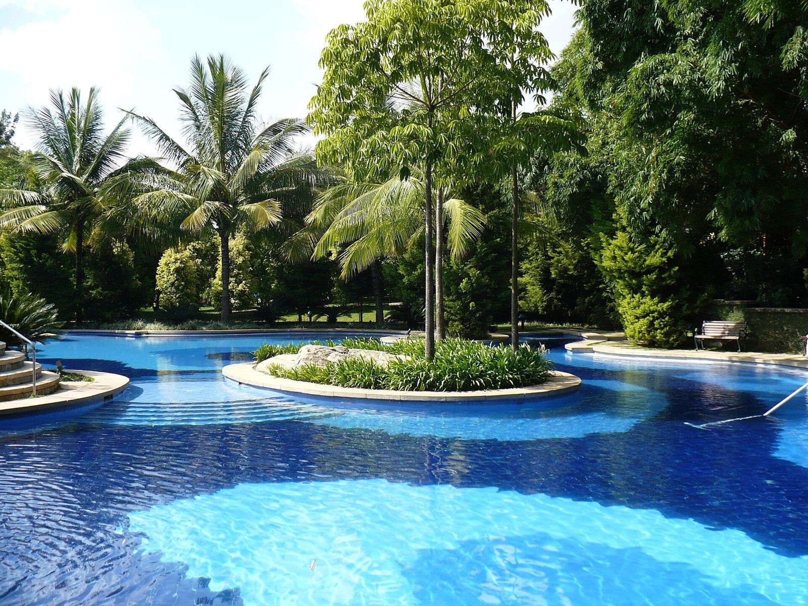 Infosys: Swimming pool with a planted island surrounded by palm trees