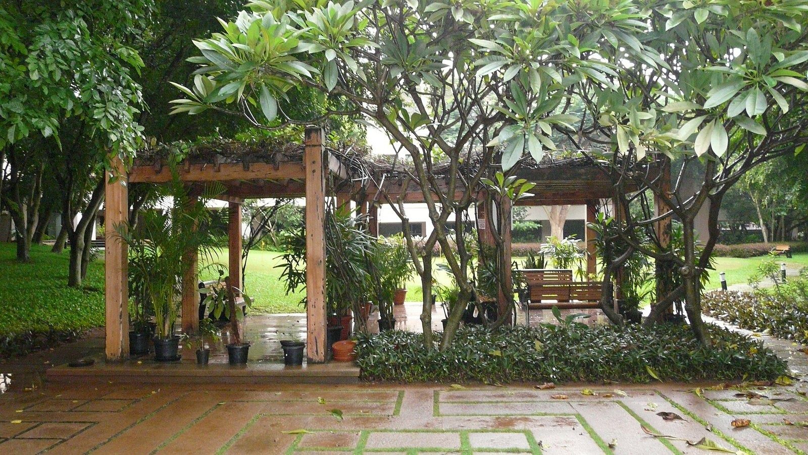 Infosys: Wooden pergola under flowering trees