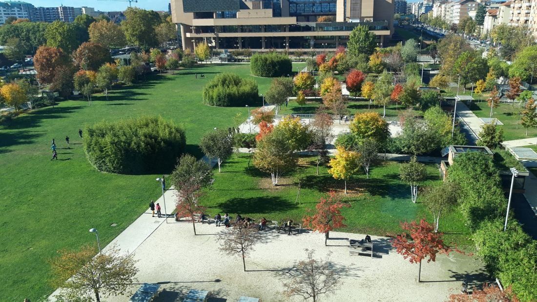 Intesa Sanpaolo: Aerial view of a park with lawns and autumn-coloured trees