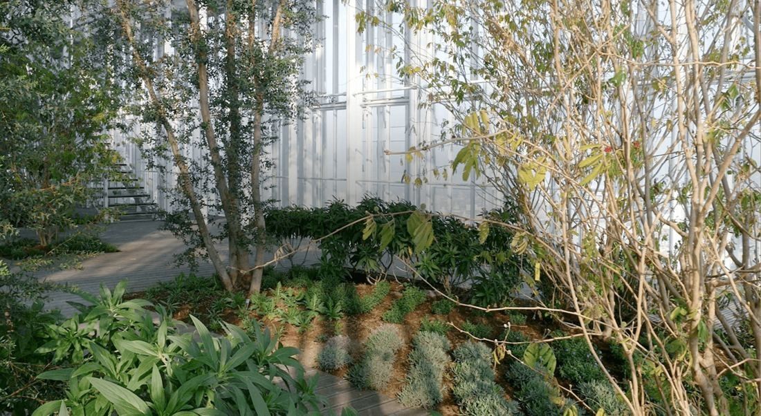 Intesa Sanpaolo: Shrubs and young trees planted under a bright glass roof