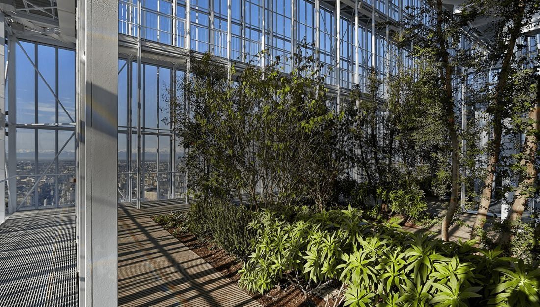 Intesa Sanpaolo: Trees and plants growing inside a tall steel-and-glass greenhouse