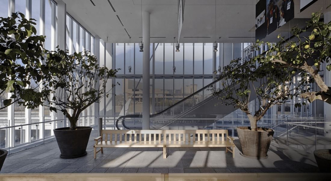 Intesa Sanpaolo: Two potted trees and a wooden bench in a bright glazed space, an escalator behind