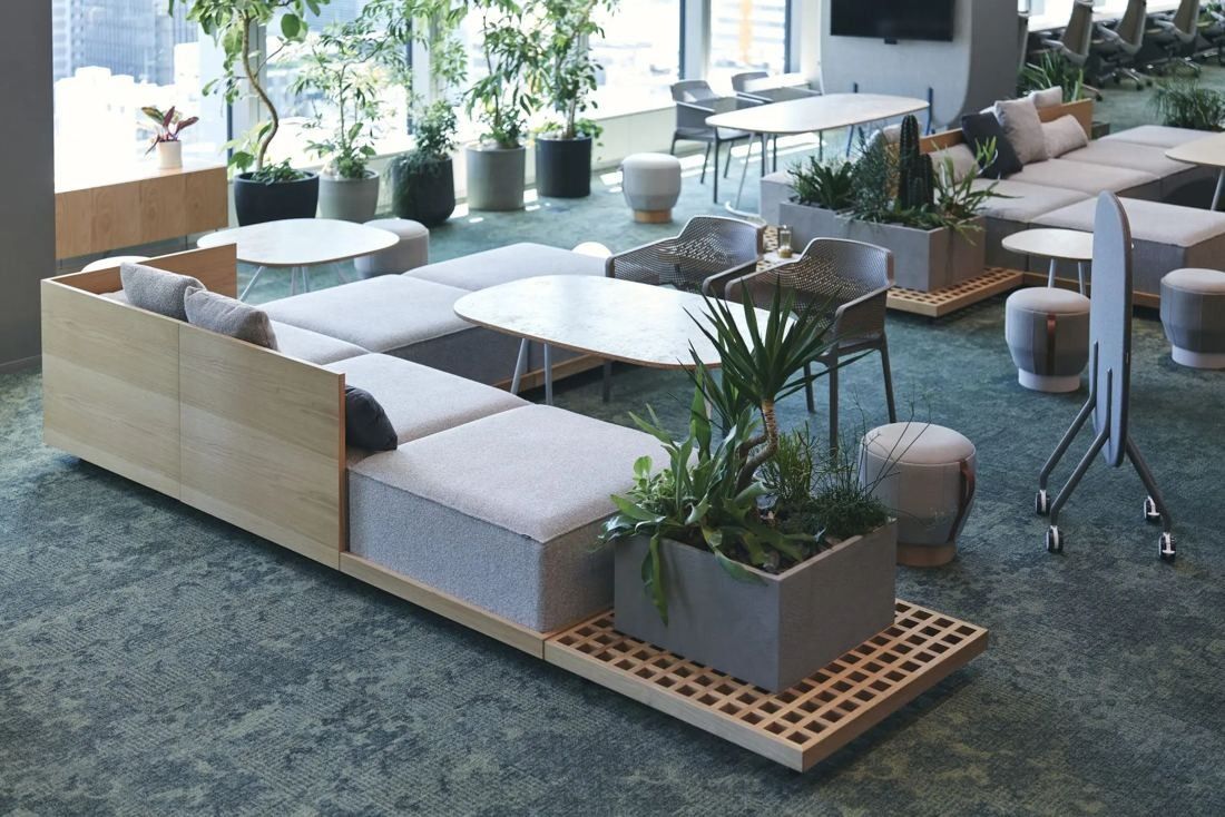 ITOKI: Modular sofas and planters on a green carpet by the windows