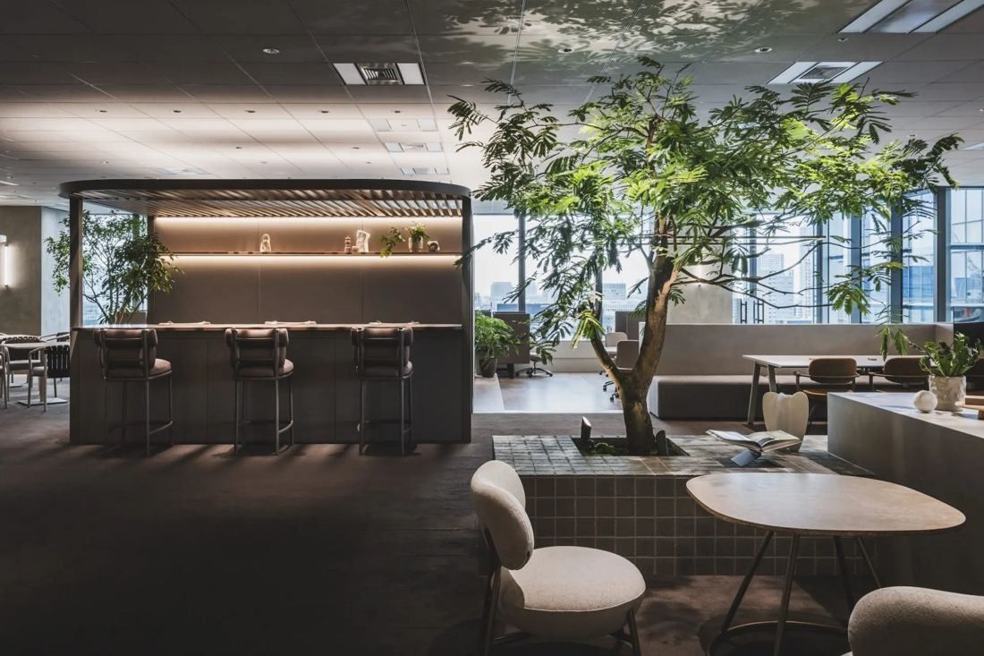 ITOKI: Tree in a planter among round tables, with a counter area behind