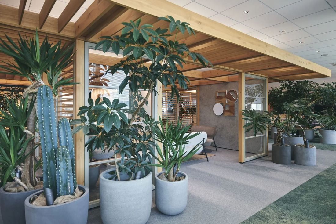 ITOKI: Wooden frame structure surrounded by potted cacti and leafy plants
