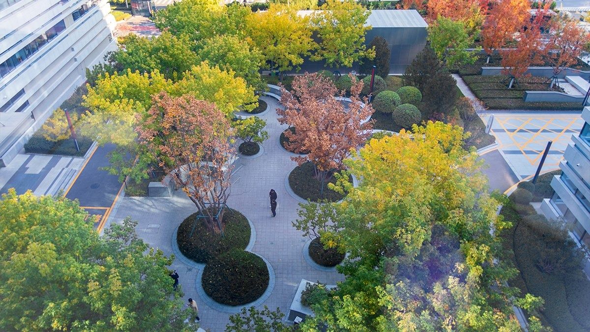 JD.com: Courtyard garden with round planted beds and paths, seen from above
